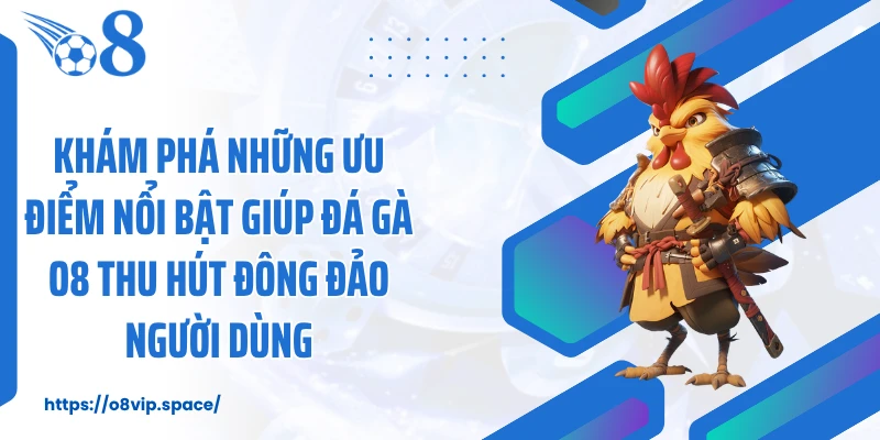 Khám phá những ưu điểm nổi bật giúp đá gà O8 thu hút đông đảo người dùng
