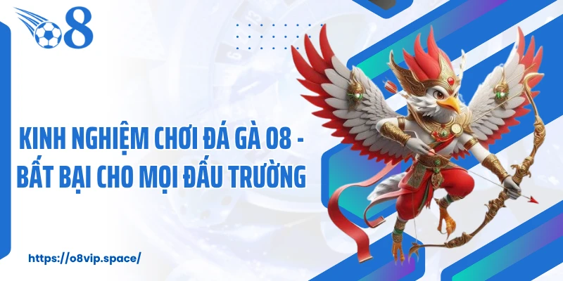 Kinh Nghiệm Chơi Đá Gà O8 - Bất Bại Cho Mọi Đấu Trường 