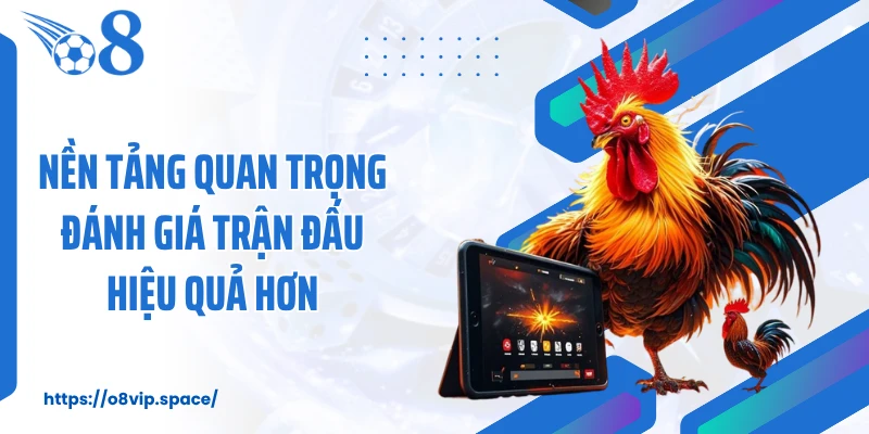 Nền tảng quan trọng đánh giá trận đấu hiệu quả hơn