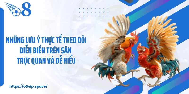 Những lưu ý thực tế theo dõi diễn biến trên sân trực quan và dễ hiểu